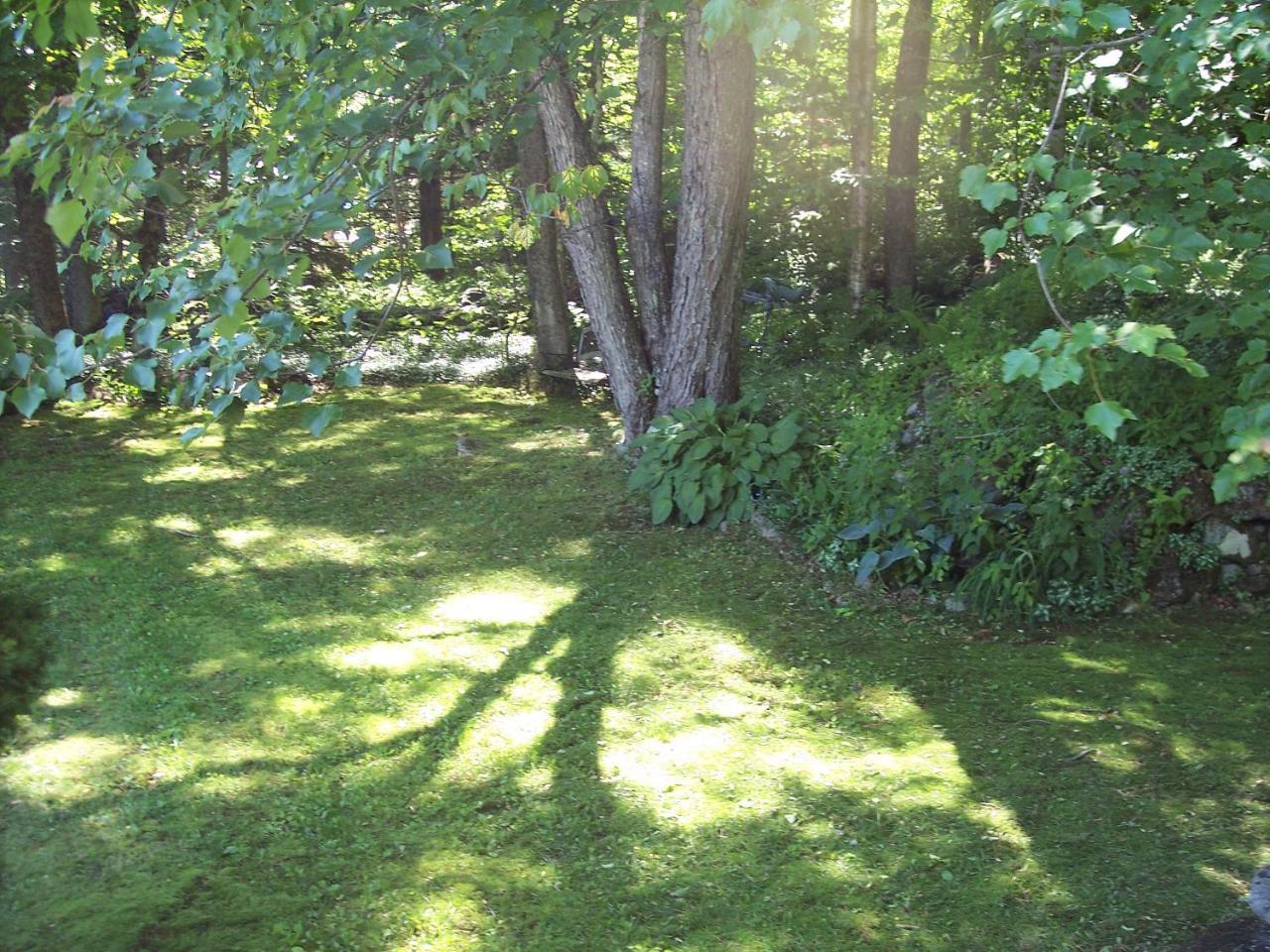 Hummingbird Hill Bed and Breakfast Stoddard Exteriör bild