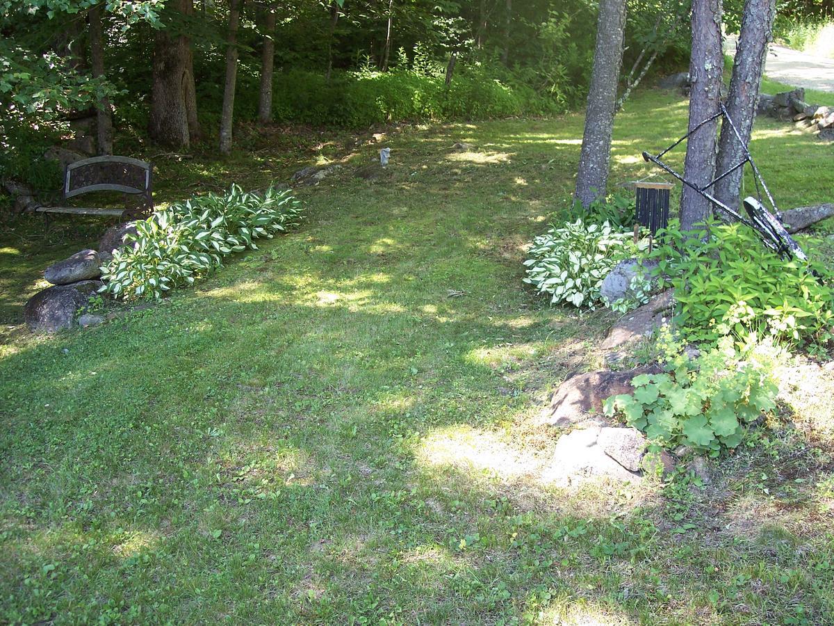 Hummingbird Hill Bed and Breakfast Stoddard Exteriör bild